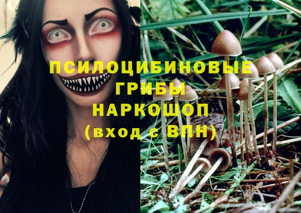 наркотики Горно-Алтайск